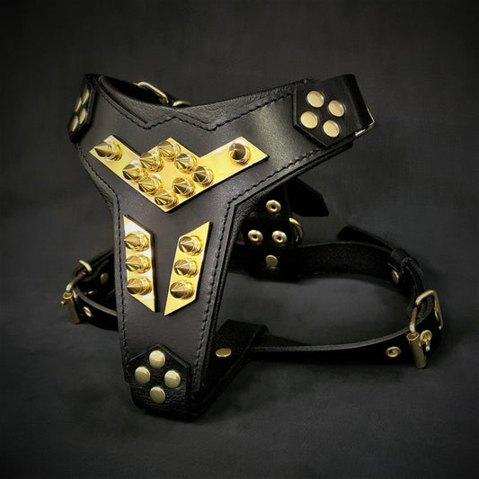 Harnais pour chien en cuir « Midas » doré taille moyenne