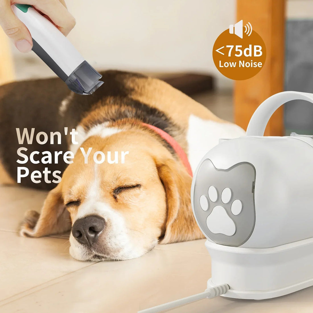 ⁠Paws & Play: 5 Must-Have Accessories to Keep Your Dog and Cat Happy This Season⁠