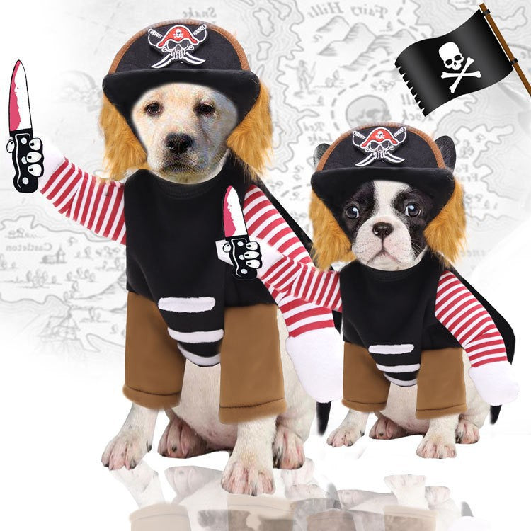 Vêtements pour chien, accessoires pour chat, costume d'équitation, tenue de Père Noël pour chien, costume d'Halloween amusant pour chat, déguisement de transformation