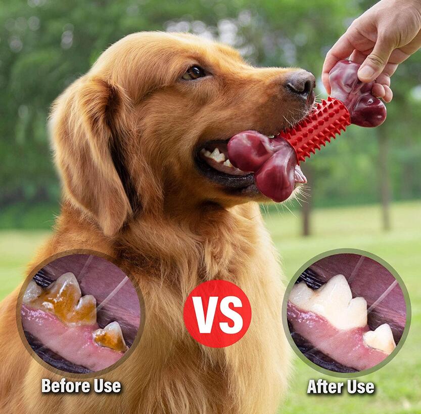 Jouet pour animal de compagnie en nylon et caoutchouc résistant aux morsures pour le nettoyage des dents et la mastication