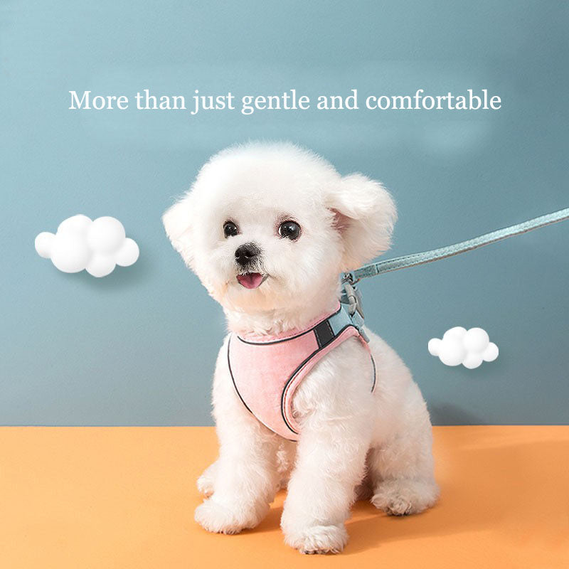 Harnais gilet pour animaux de compagnie, sangle de poitrine universelle pour chat et chien, laisse pour promenade.
