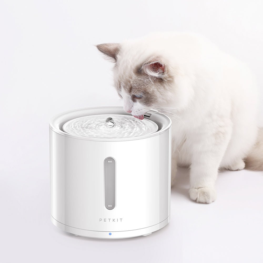 EverSweet Solo 2 Pet Water Fountain-1
