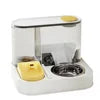 Automatic Pet Feeder for Dog & Cat Water Food Bowl 2 in 1 Water Dispenser Pet Bowl Cat Automatic Feeder