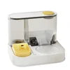 Automatic Pet Feeder for Dog & Cat Water Food Bowl 2 in 1 Water Dispenser Pet Bowl Cat Automatic Feeder