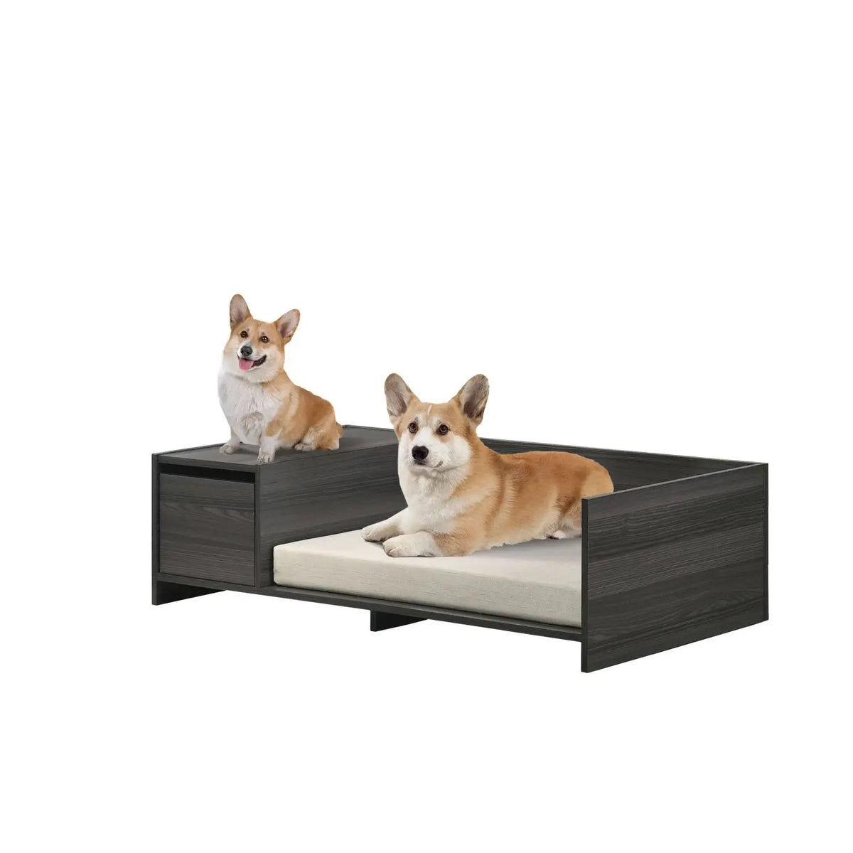 Lit pour animal de compagnie moderne Esme 47 po, gris cendré, confortable avec coussin et compartiment de rangement latéral