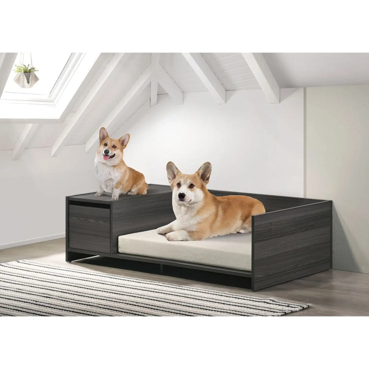 Lit pour animal de compagnie moderne Esme 47 po, gris cendré, confortable avec coussin et compartiment de rangement latéral