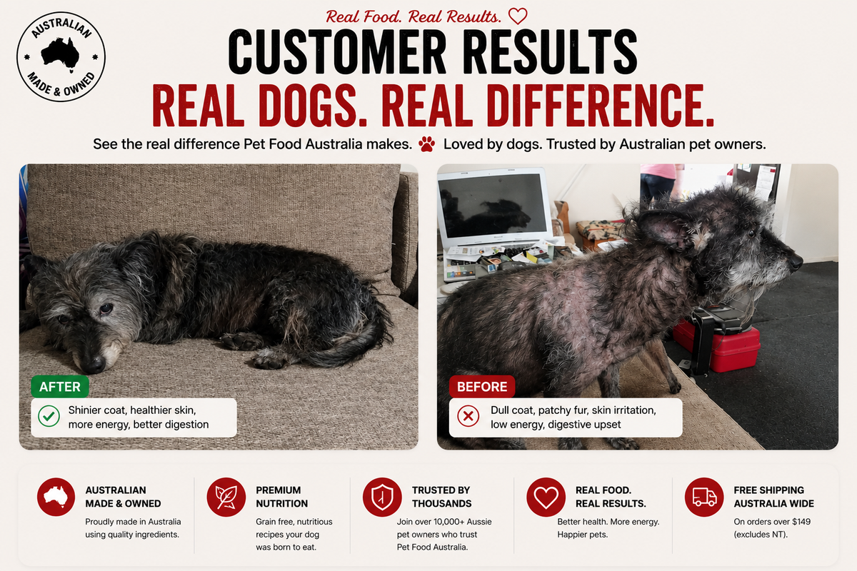 Insect Protein Dog Food-4
